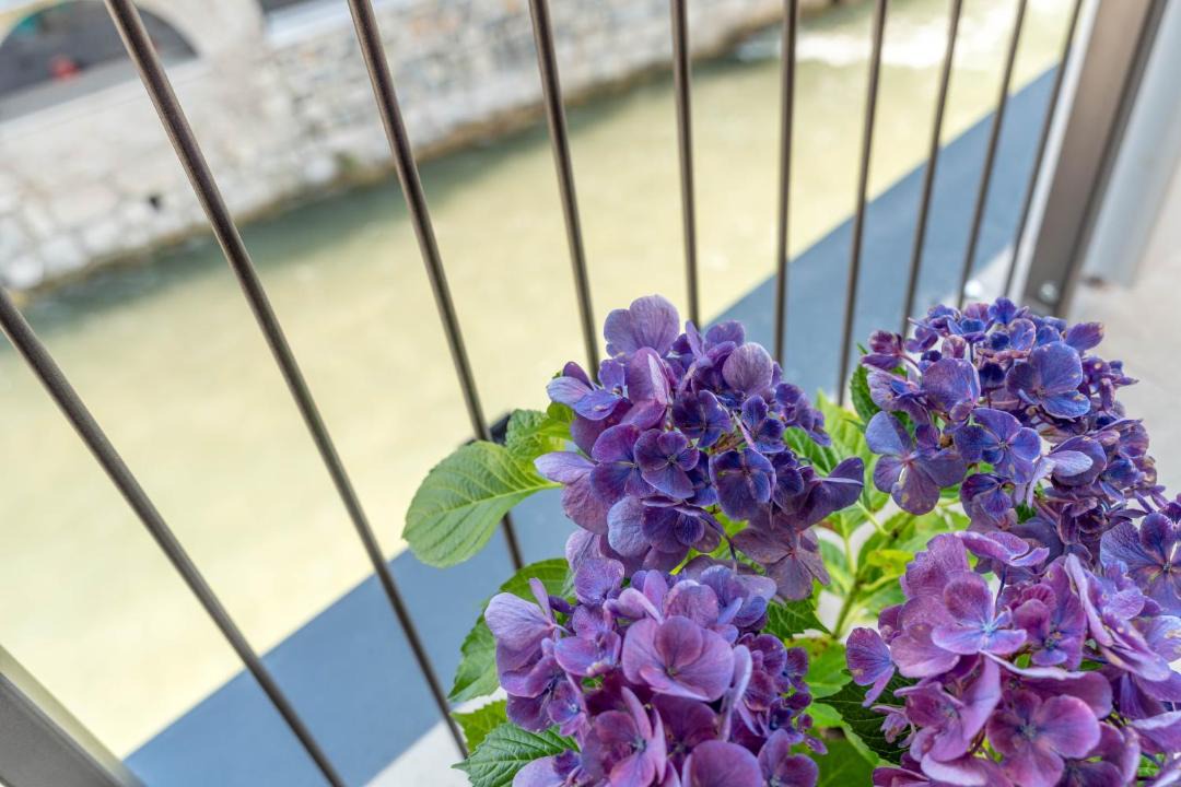 Photo of Others in Borgo Valsugana