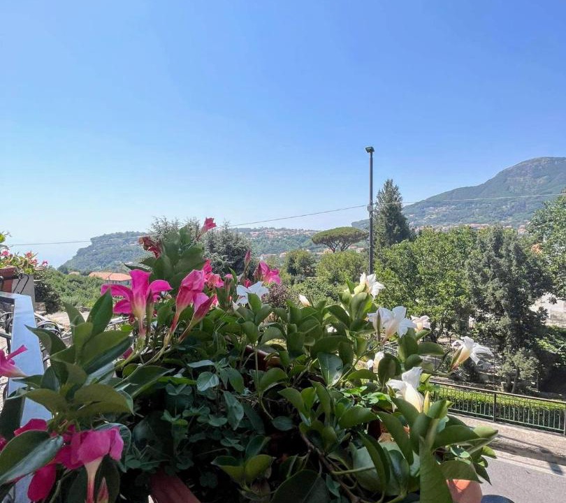 Photo of Others in Agerola
