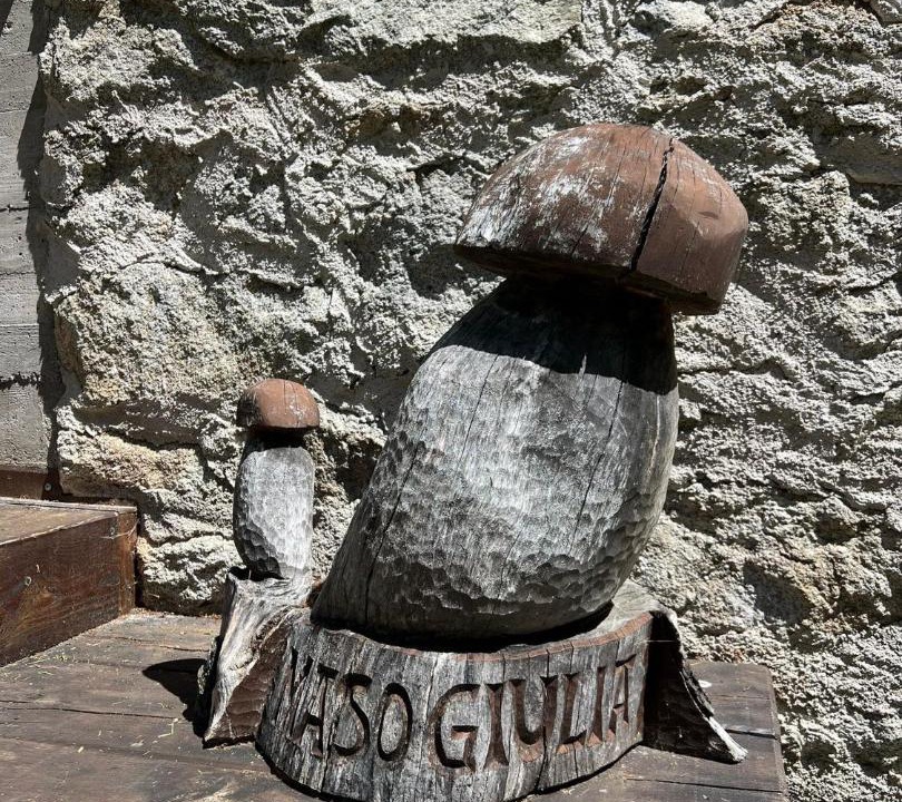 Photo of Others in Pieve Tesino