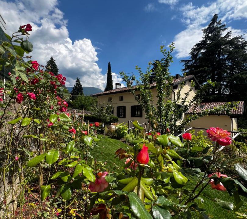 Photo of Others in Rovereto