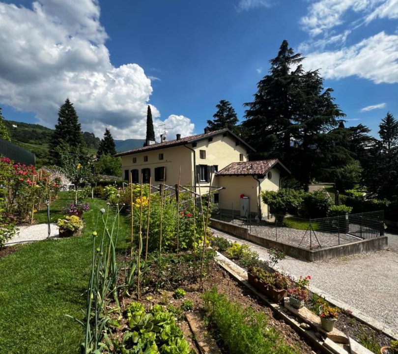 Photo of Others in Rovereto
