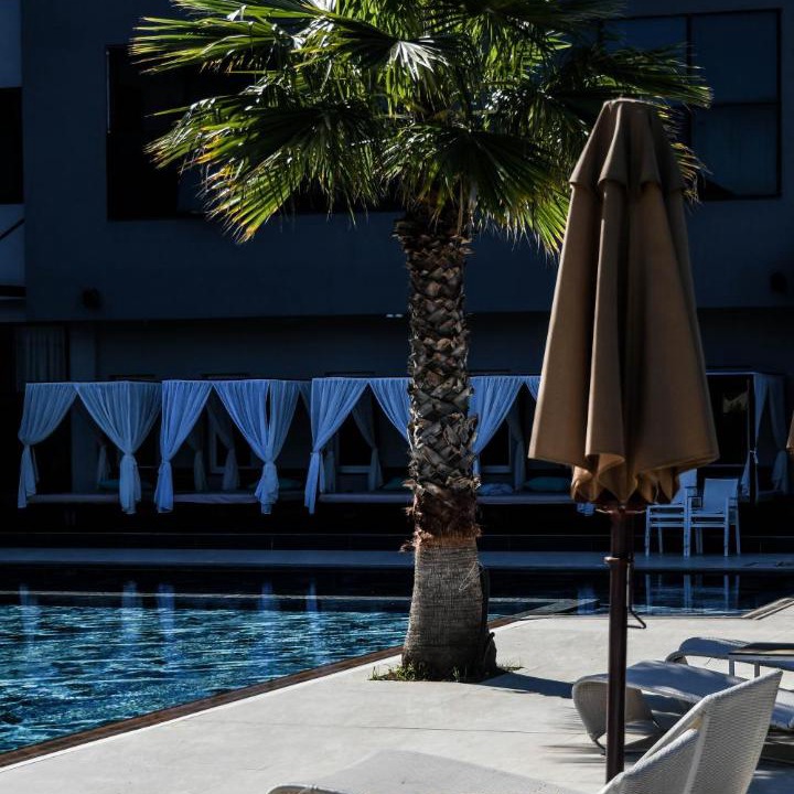 Photo of Others in Grile