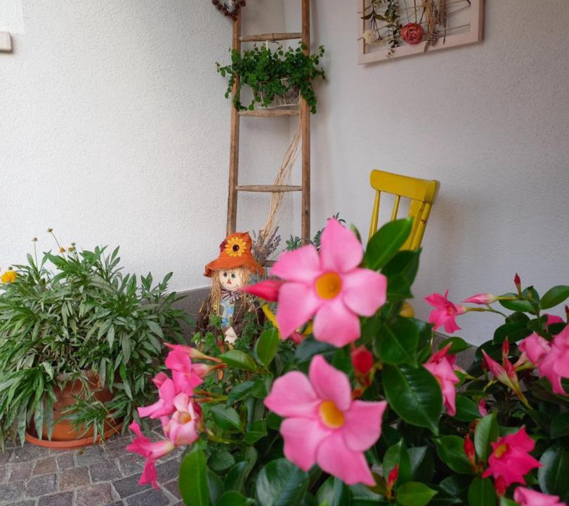 Photo of Others in Romeno