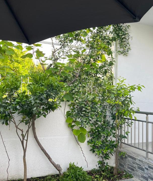 Photo of Others in Velipoje