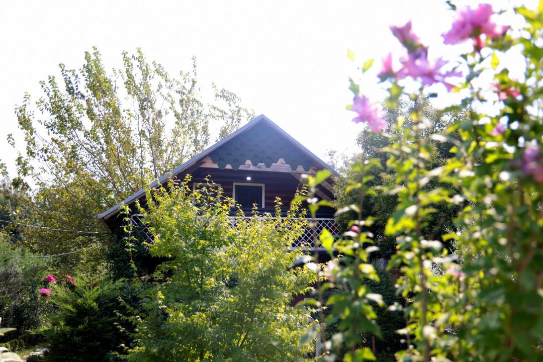 Photo of Others in Velipoje