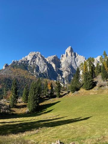 Photo of Others in Primiero San Martino di Castrozza