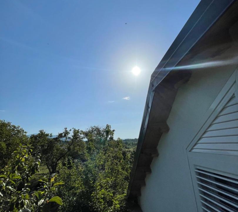 Photo of Others in Puke