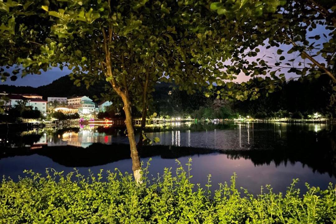 Photo of Others in Puke