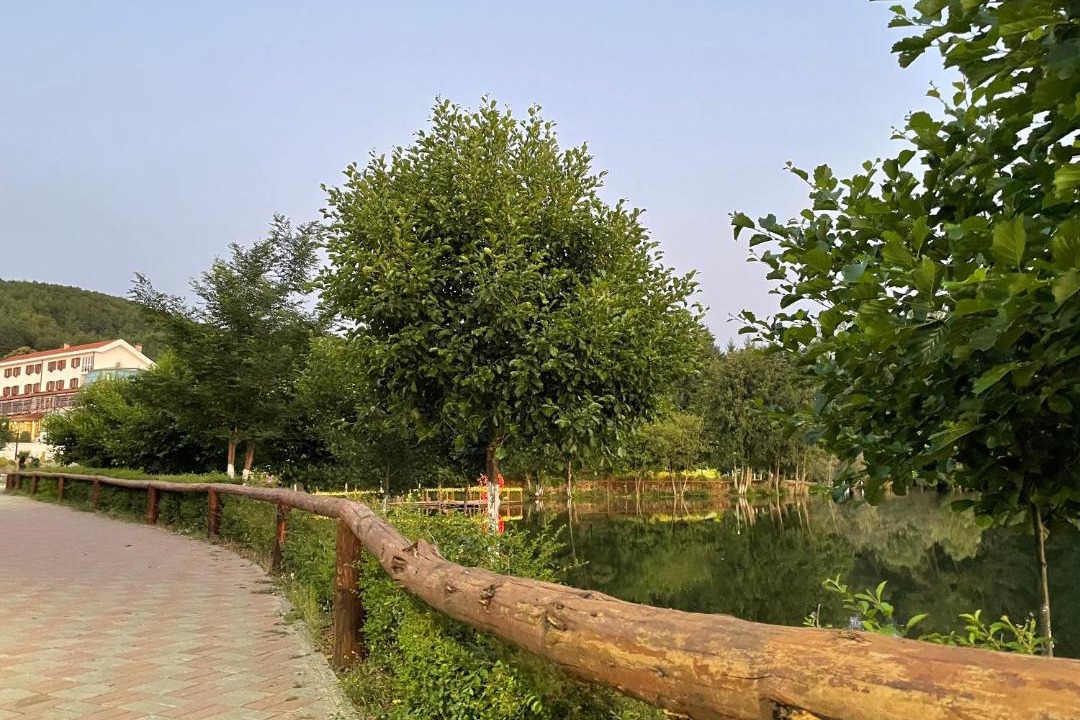 Photo of Others in Puke