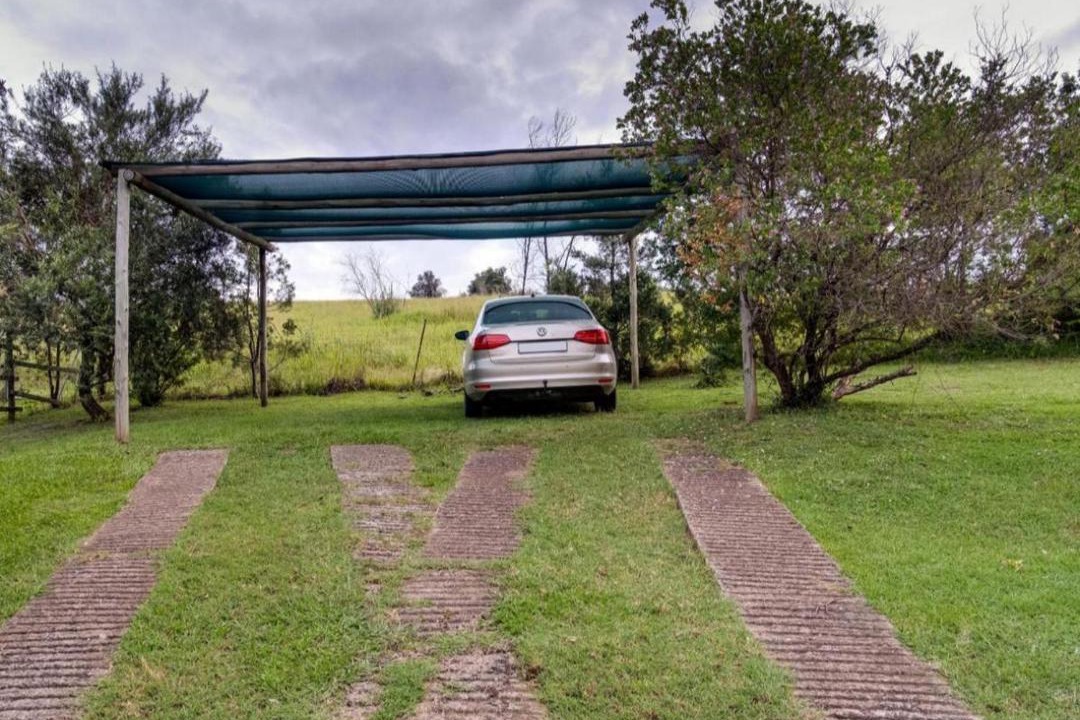 Photo of Outdoor in Cathkin Park