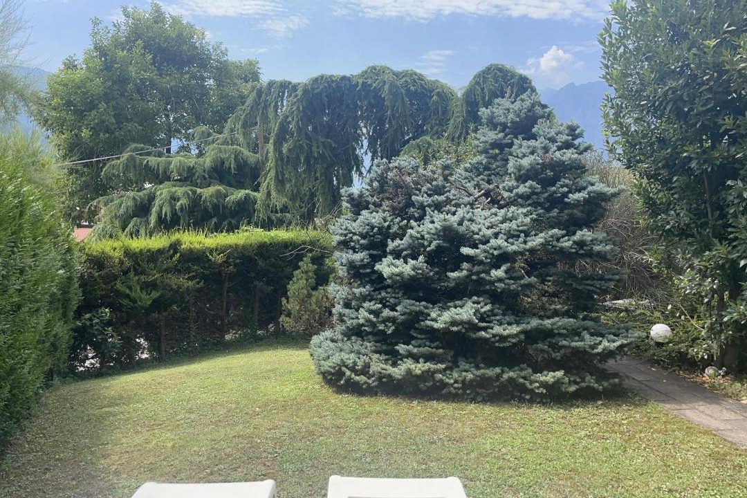 Photo of Others in Cognola