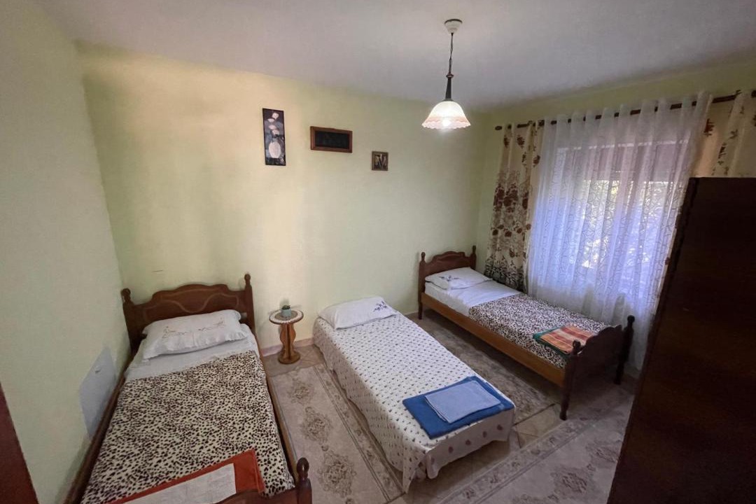 Photo of Others in Puke