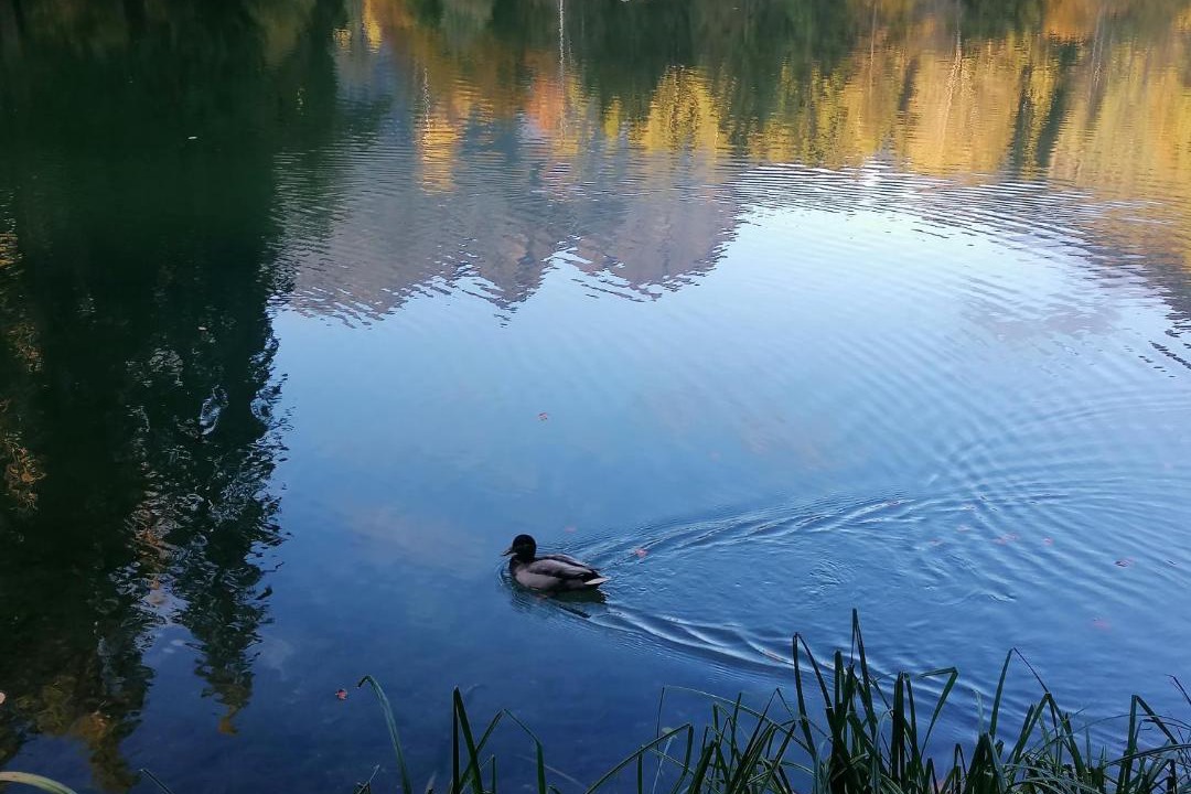 Photo of Others in Transacqua