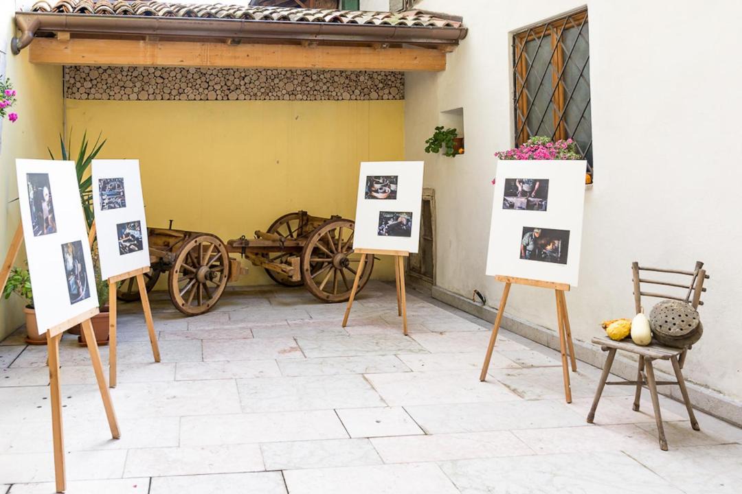 Photo of Others in Ronzo-Chienis