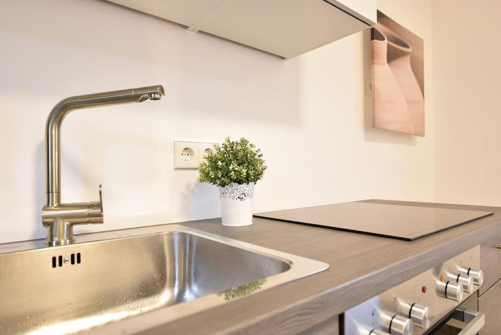 Photo of Kitchen in Plaus