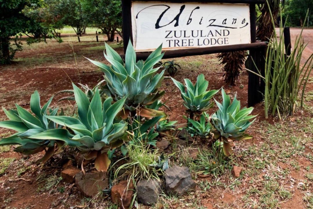 Photo of Others in Hluhluwe