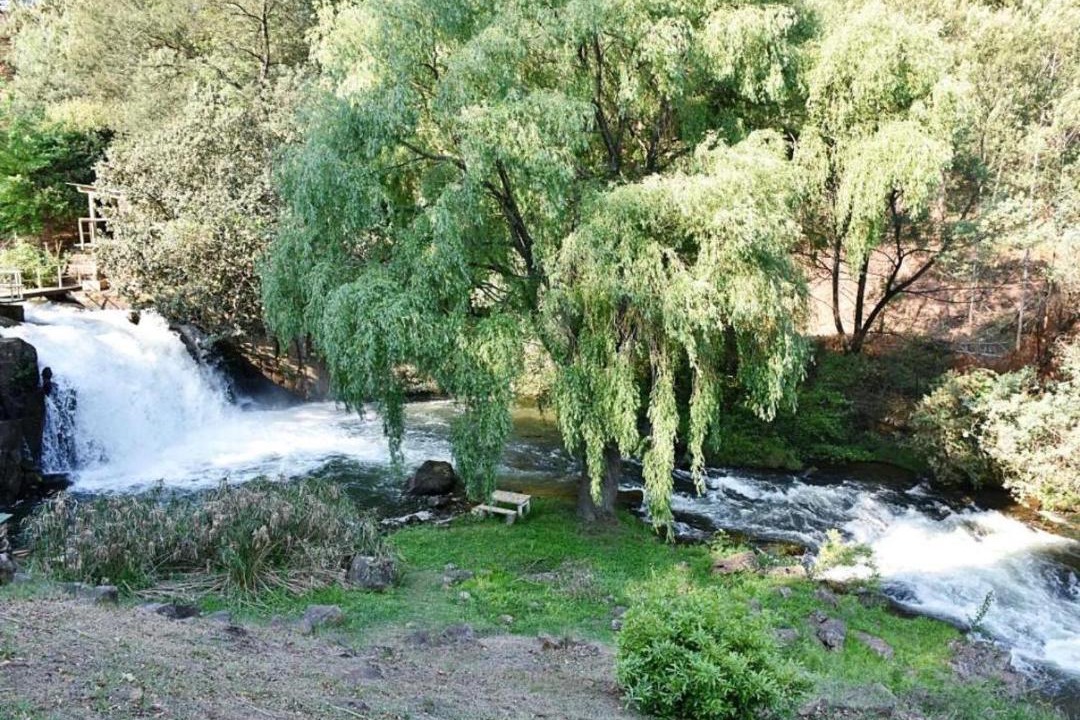 Photo of Others in Balgowan