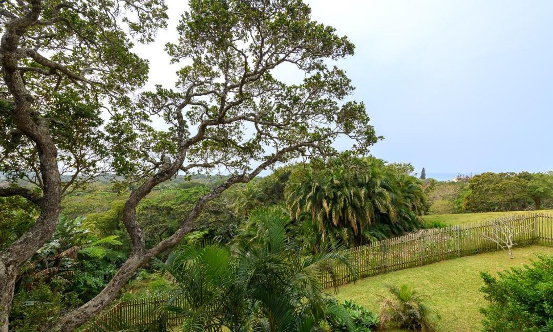 Photo of Others in Palm Beach