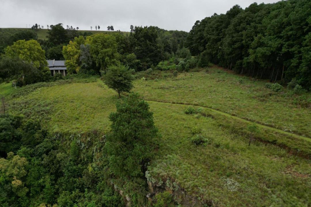 Photo of Others in Cathkin Park