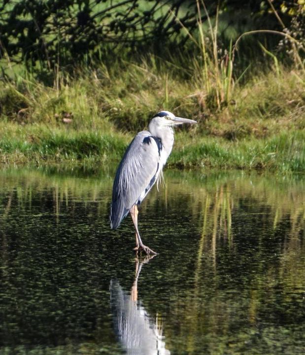 Photo of Others in Winterton