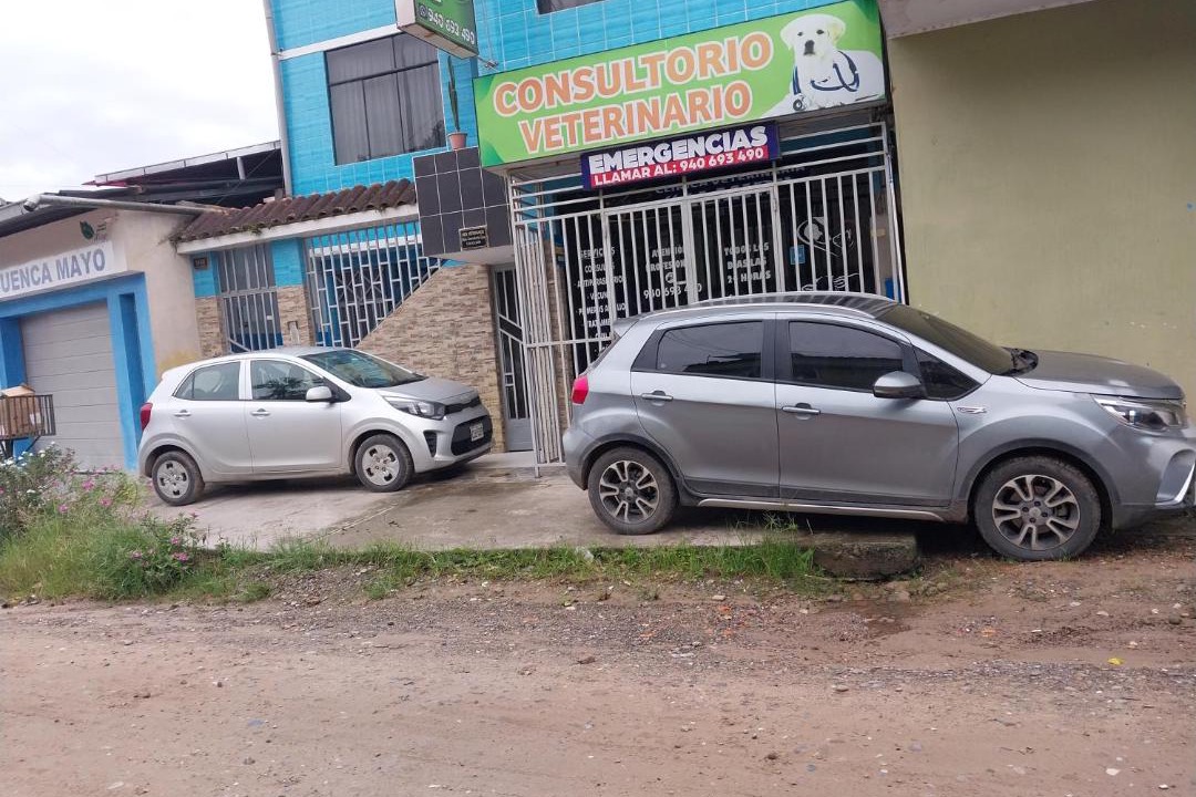 Photo of Others in Moyobamba