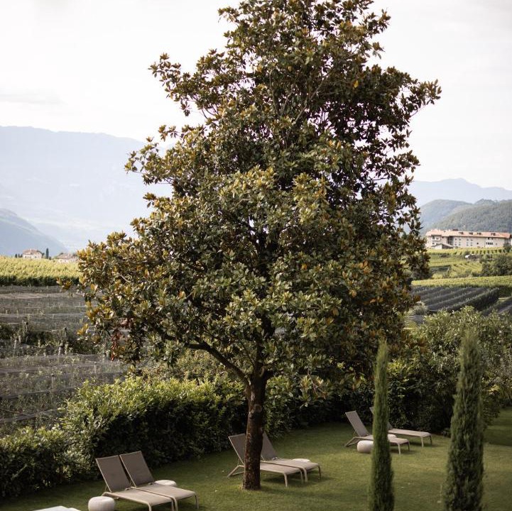 Photo of Others in Pianizza Di Sopra