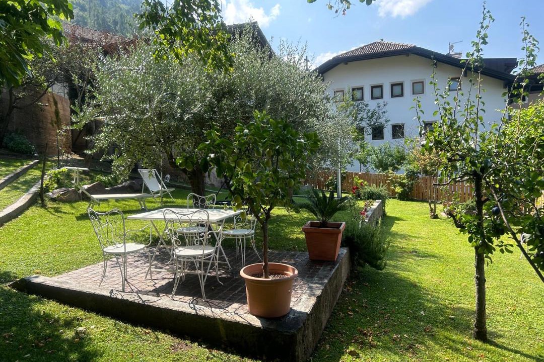 Photo of Others in Montagna