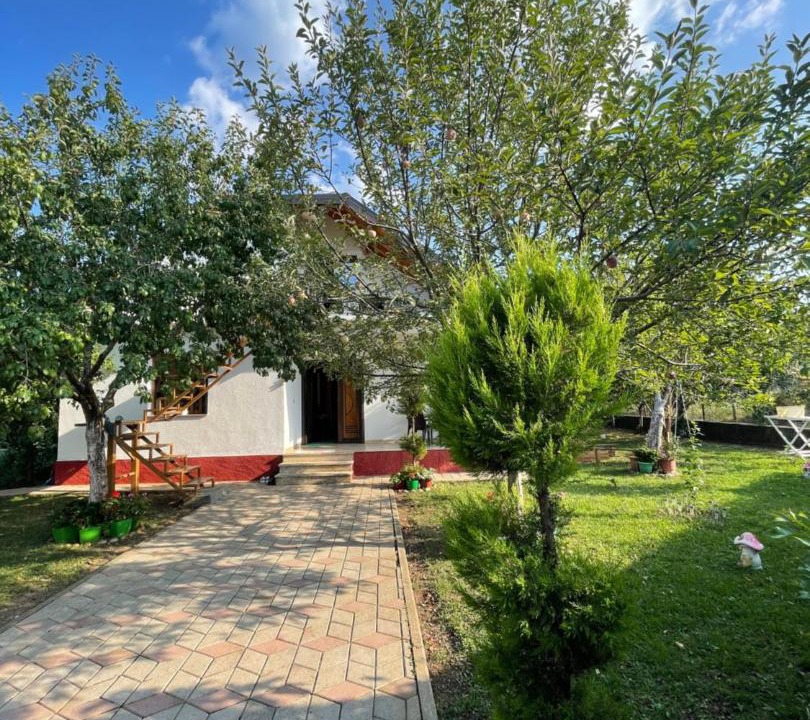 Photo of Others in Puke