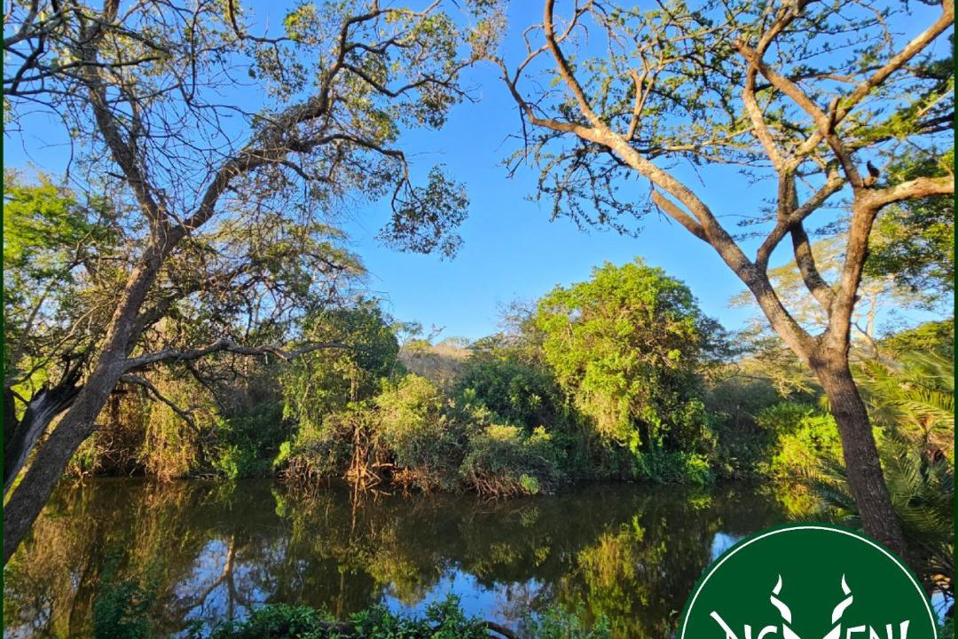 Photo of Outdoor in Hluhluwe
