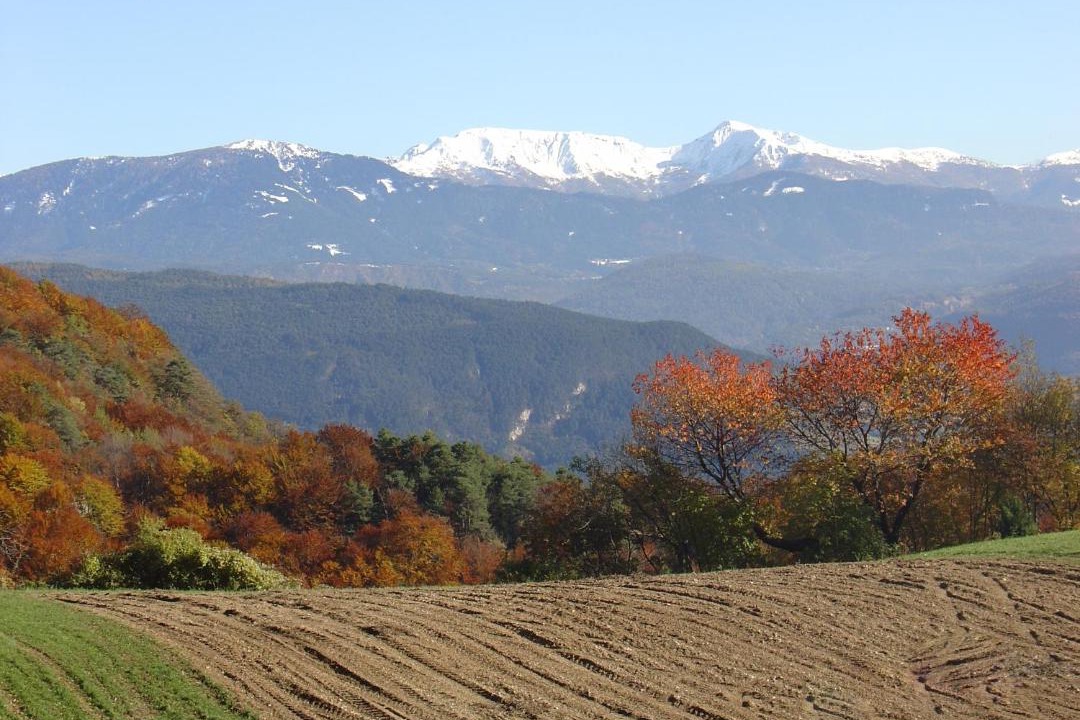 Photo of Others in Fai della Paganella