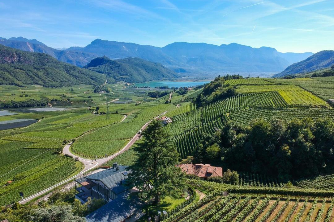 Photo of Others in Caldaro Sulla Strada del Vino