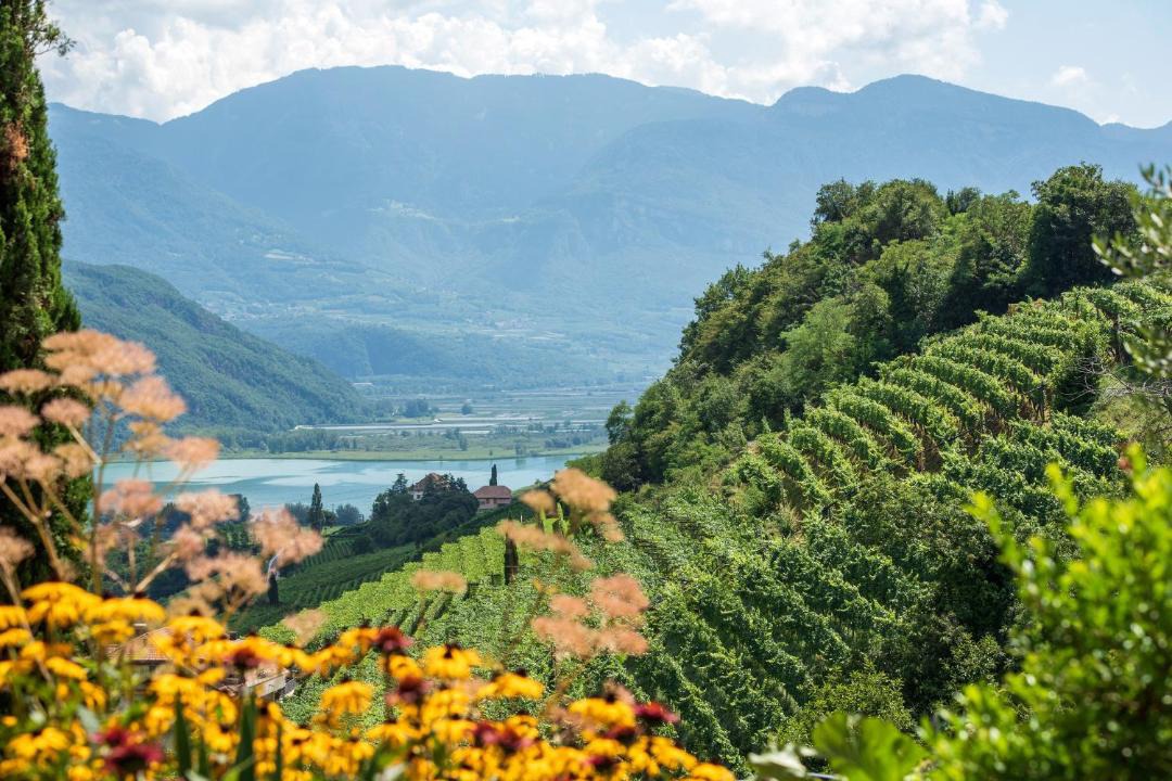 Photo of Others in Caldaro Sulla Strada del Vino