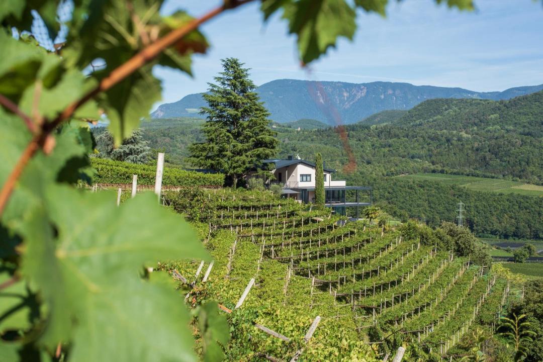 Photo of Others in Caldaro Sulla Strada del Vino