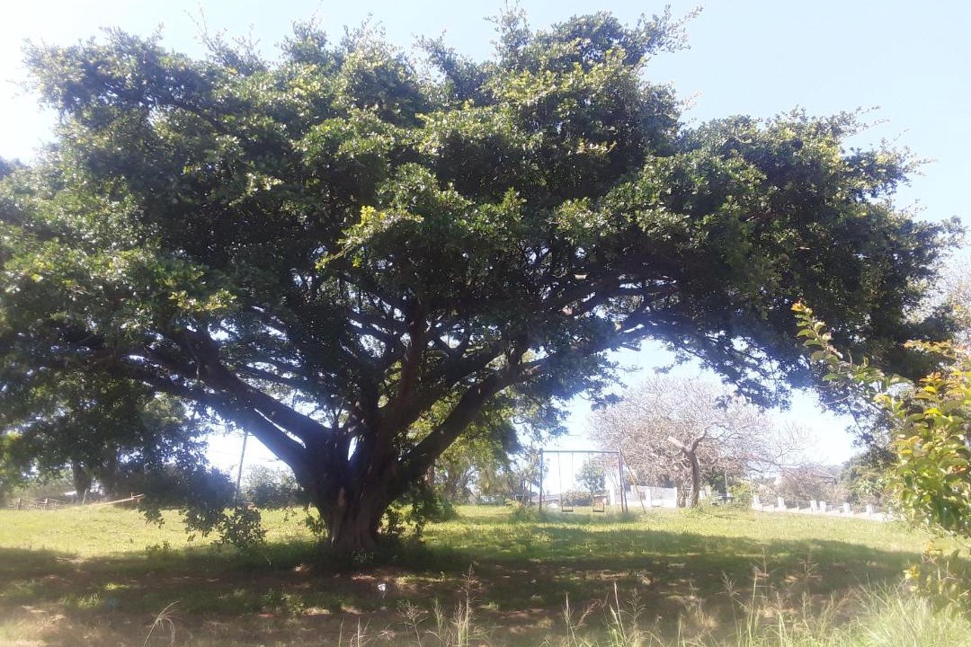 Photo of Others in Ethekwini