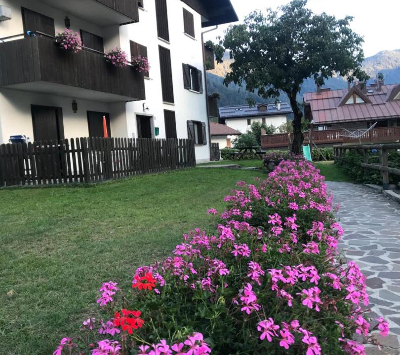 Photo of Others in Carisolo