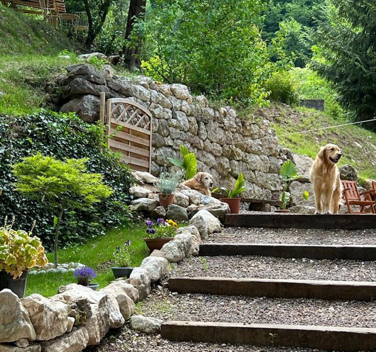 Photo of Others in Raossi