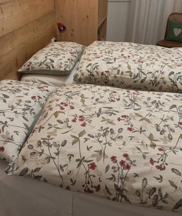 Photo of Bedroom in Levico Terme
