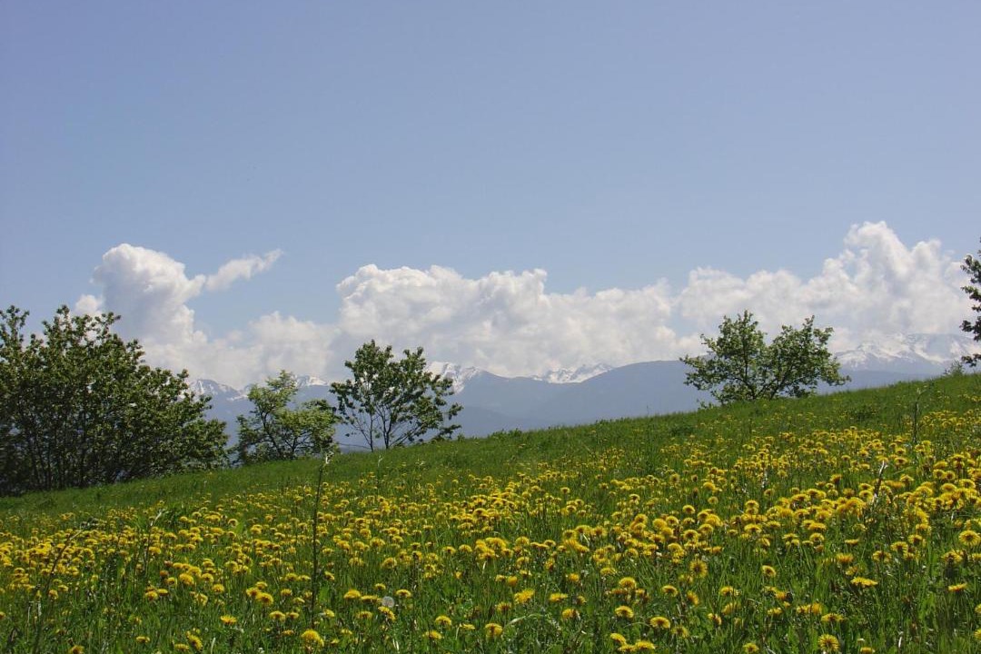 Photo of Others in Fai della Paganella