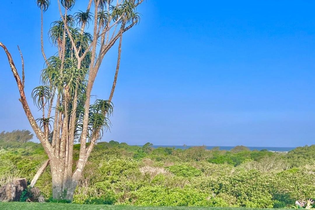 Photo of Outdoor in St. Lucia