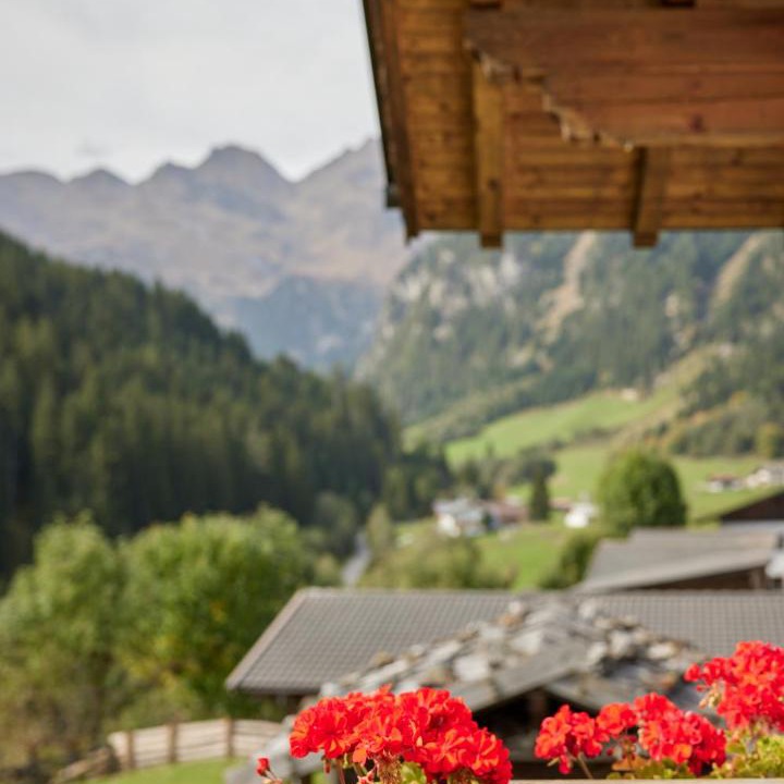 Photo of Patio Balcony in Racines