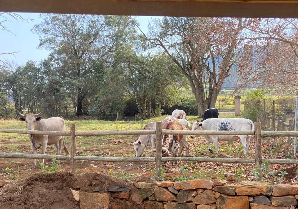 Photo of Others in Curry's Post