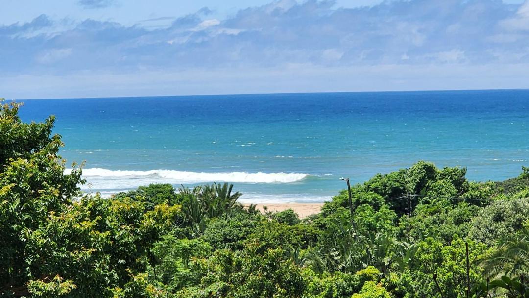 Photo of Others in Shelly Beach