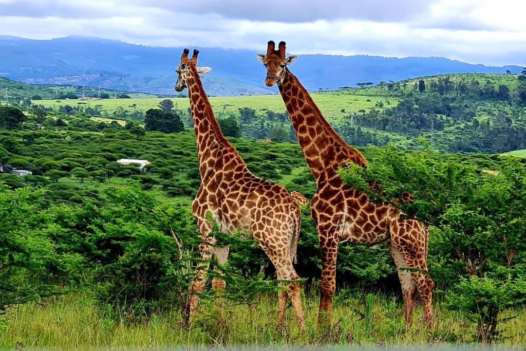 Photo of Others in The Msunduzi