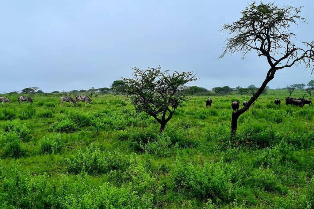 Photo of Others in The Msunduzi