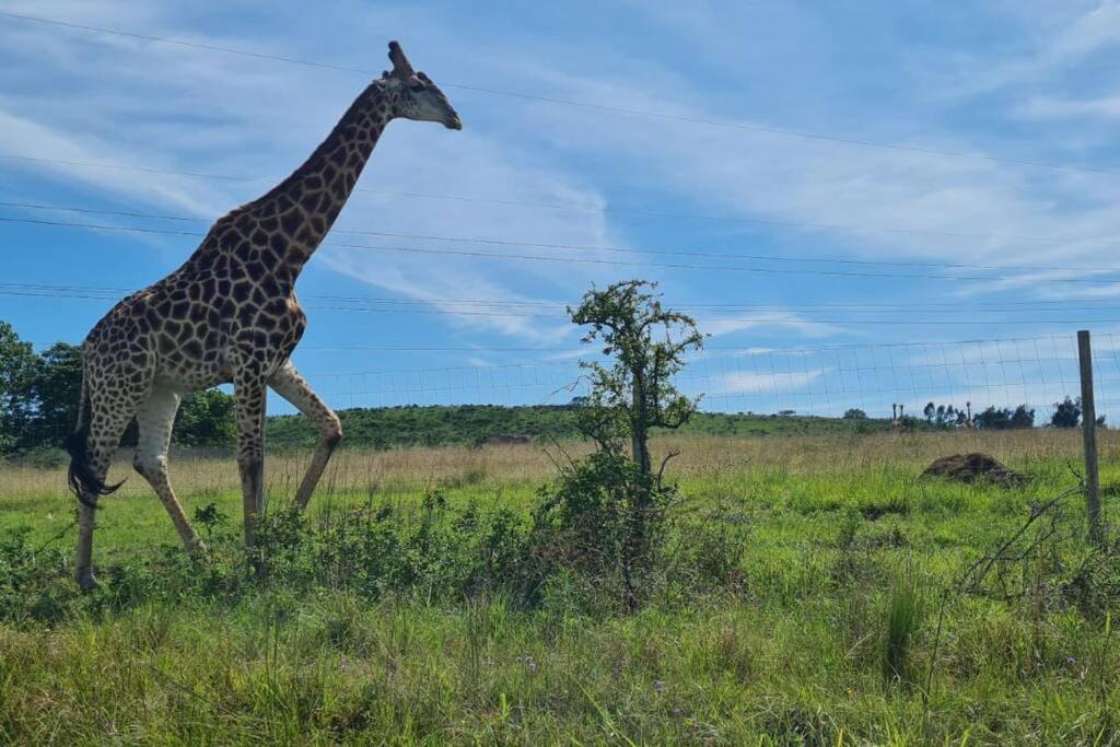 Photo of Others in The Msunduzi