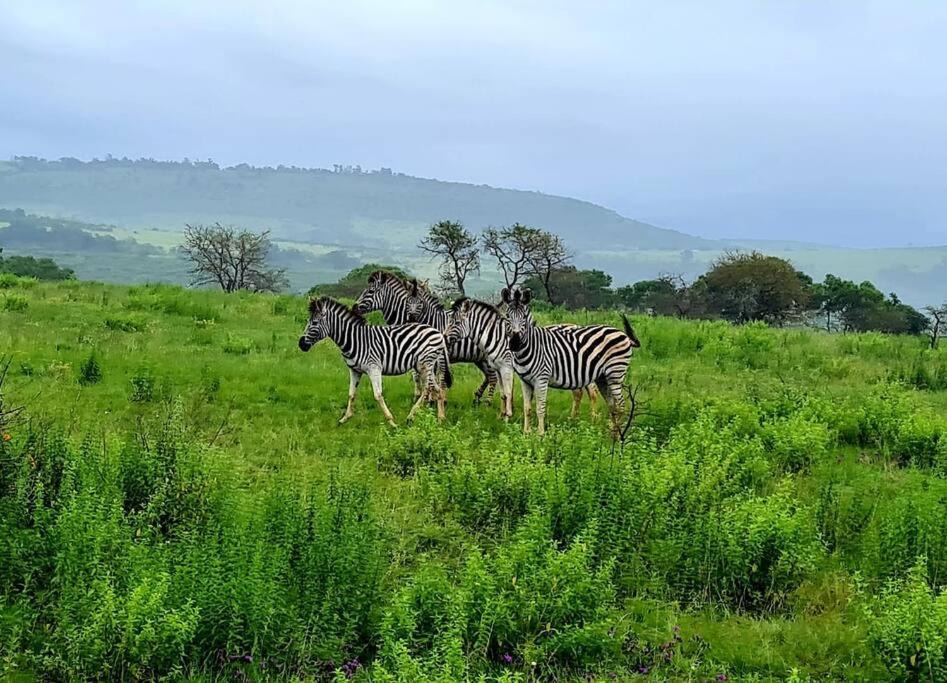 Photo of Others in The Msunduzi