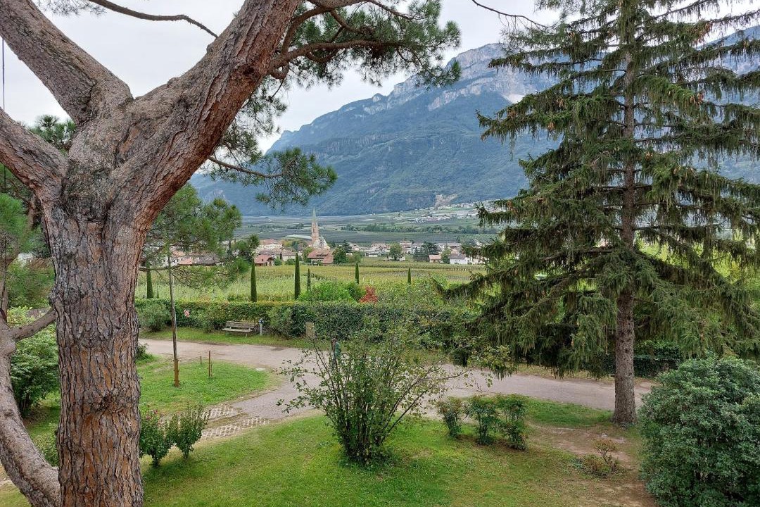 Photo of Others in Terlano