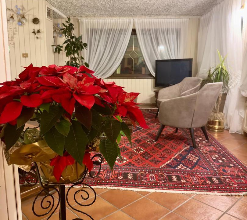 Photo of Livingroom in Madonna di Campiglio