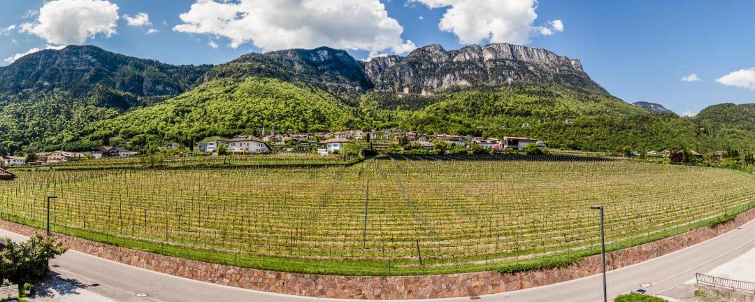 Photo of Others in Caldaro Sulla Strada del Vino