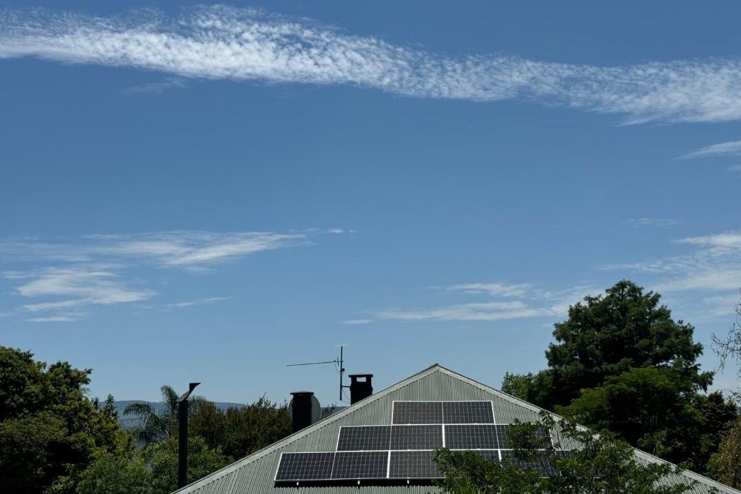 Photo of Others in Greytown